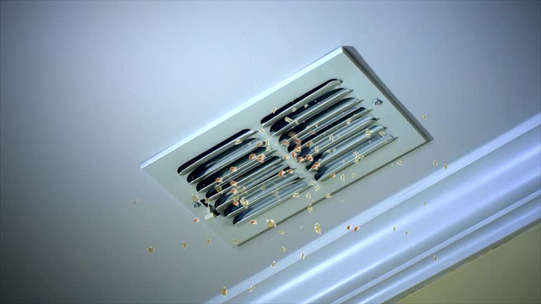 Best Air Vent Cleaning Services  in Pierson, FL