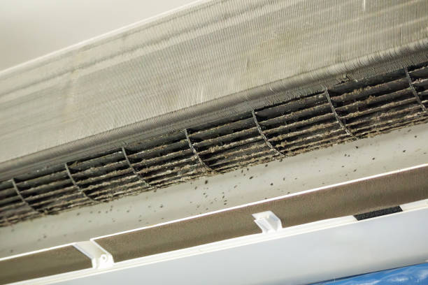 Best Home Air Vent Cleaning  in Pierson, FL